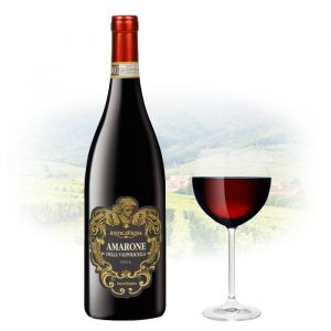 Antica Vigna - Amarone della Valpolicella | Italian Red Wine