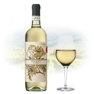 Carpineto - Dogajolo Bianco | Italian White Wine