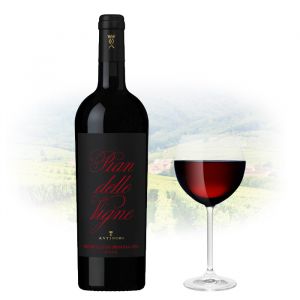 Antinori Pian delle Vigne Brunello di Montalcino | Manila Philippines Wine