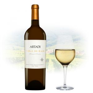 Artadi - Viñas de Gain Rioja Blanco | Spanish White Wine