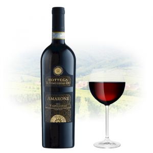 Bottega - Amarone della Valpolicella 