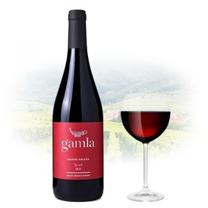 Golan Gamla - Syrah | Israel Kosher Red Wine